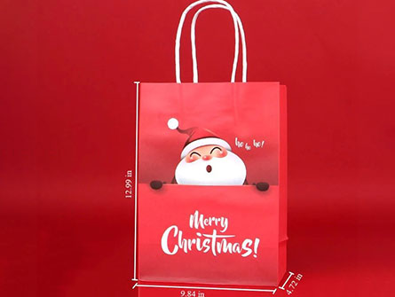 Christmas Paper Gift Bag